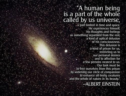 Albert Einstein - A human being is part of the whole called by us universe